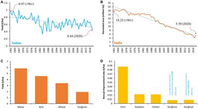 Assessment of global sorghum production, tolerance, and climate risk